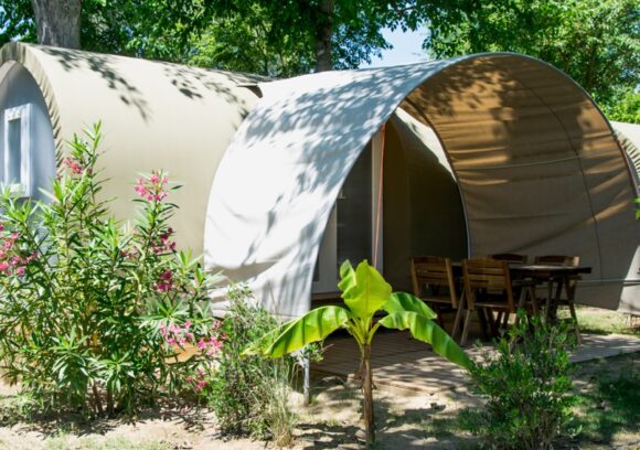 dachzelt anhnger Van-Haltestelle Camping Anhnger mit Dachzelt  VAN-HALTESTELLE